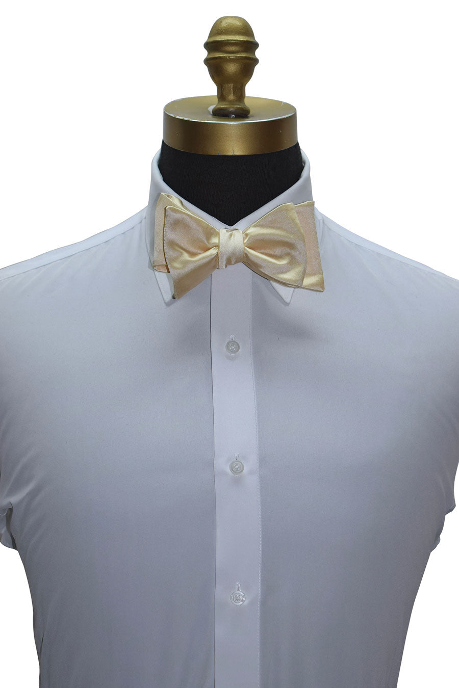 Champagne Bow Tie and Pocket Hankie -SELF TIE #
