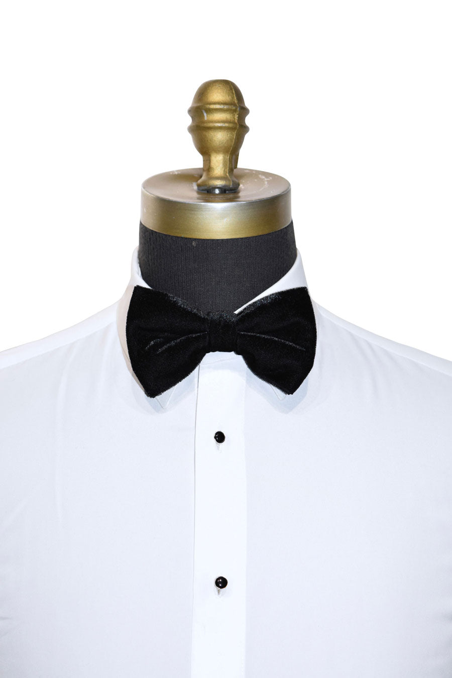 Black velvet bow tie on a white tuxedo shirt with a mannequin