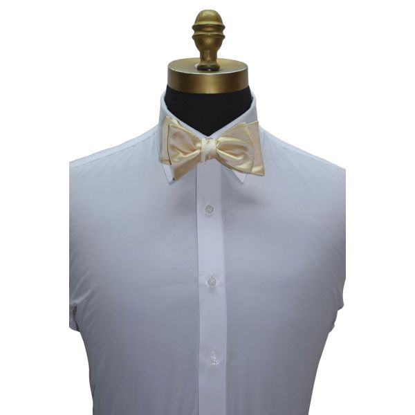 Champagne Bow Tie and Pocket Hankie -SELF TIE
