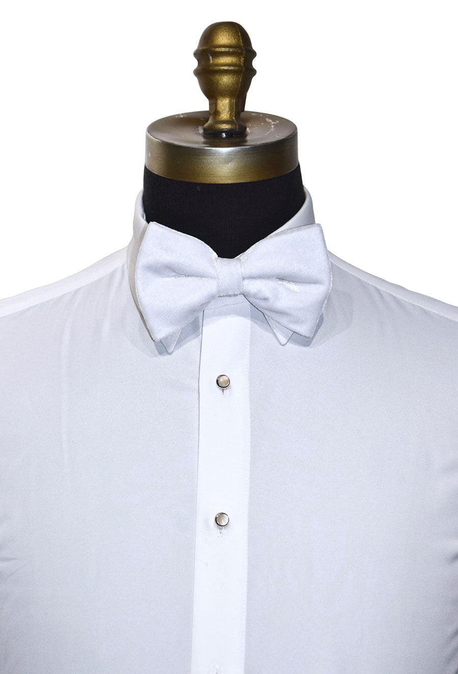 White velvet bow tie on a white dress shirt with a mannequin in front of a white background