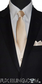 CHAMPAGNE TIE WITH SUBTLE STRIPE, TIE-YOURSELF