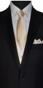 men's champagne color long tie with stripe for weddings