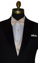champagne pre-tied bowtie and champagne pocket square - up close